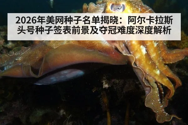 2026年美网种子名单揭晓：阿尔卡拉斯头号种子签表前景及夺冠难度深度解析